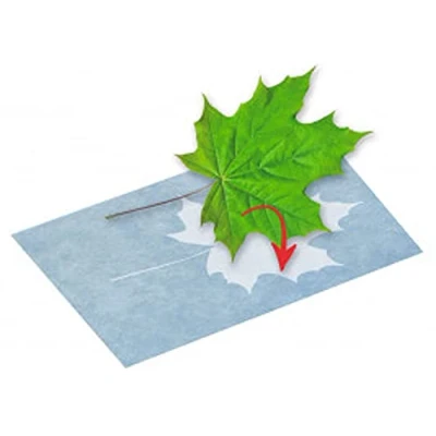 Abbildung von moses. PhänoMINT Sonnendruck Papier, Experimentierspielzeug für Kinder, Bastelpapier zum Beobachten wissenschaftlicher Phänomene, 10 Papierblätter 12,5 x 16,8 cm Drucken verschiedener Objekte