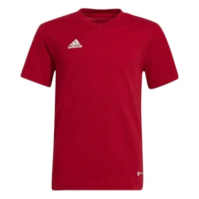 Abbildung von adidas Unisex Kids ENT22 Tee Y T Shirt, Tepore, 5 6A