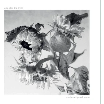 Abbildung von Mother of Pearl Moon [Vinyl LP]