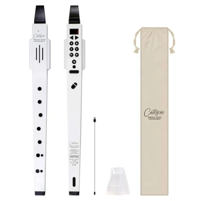 Abbildung von Carry on by Blackstar Digitales Blasinstrument Schwarz 10 Stimmen, integrierter, wiederaufladbarer USB Akku, Kopfhörerausgang für leises Üben, Midi über Bluetooth