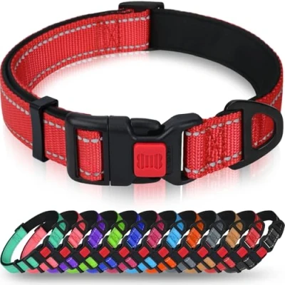 Abbildung von Taglory Hundehalsband, Weich Gepolstertes Neopren Nylon Hunde Halsband für Kleine Hunde, Verstellbare und Reflektierend das Training, Rot