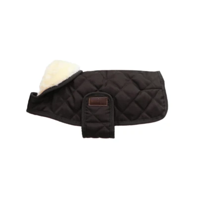 Abbildung von Kentucky Dog Coat