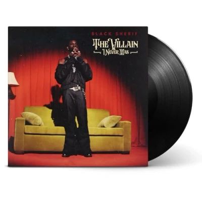 Abbildung von The Villain I Never Was [Vinyl LP]