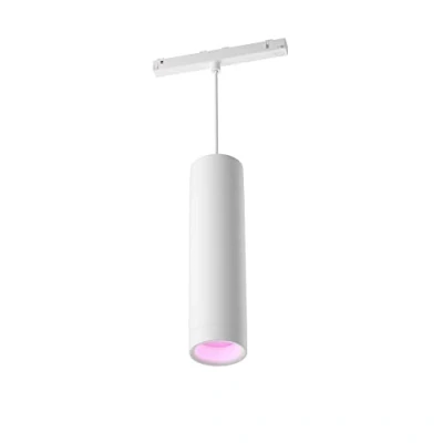 Abbildung von Philips Hue White&amp;Color Amb. Perifo, Erweiterungspendelleuchte, dimmbar, 16 Mio. Farben, steuerbar via App, kompatibel mit Amazon Alexa, Apple HomeKit&amp;Google Assistant, weiß, Erweiterung, 929003116001