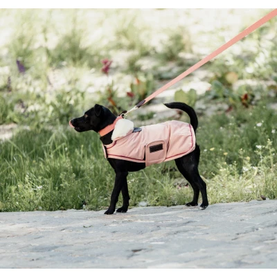 Abbildung von Kentucky Dog Coat Waterproof Coral