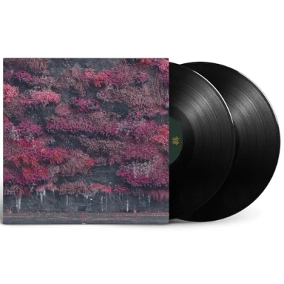 Abbildung von Even in Arcadia (Opaque Black) [Vinyl LP]