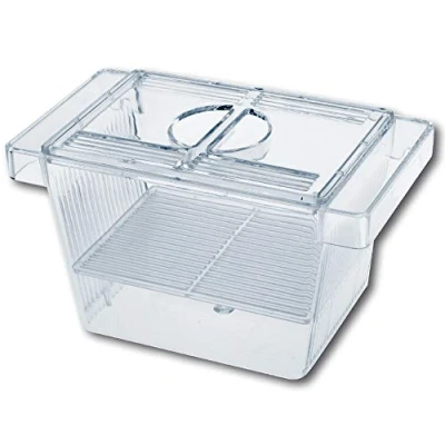 Abbildung von Wave Amtra Laichraum 3 in 1 Aquarienfischzuchtbecken mit Deckel, schwimmend, transparent, 12 x 6 cm