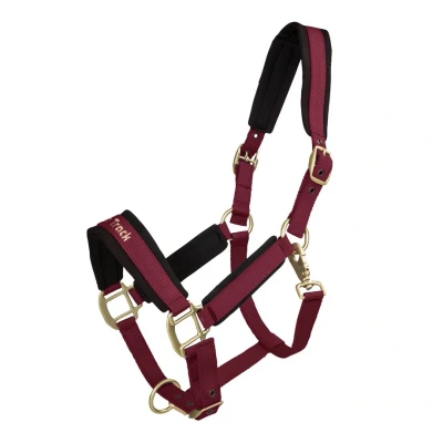 Abbildung von Back on Track Werano Halter