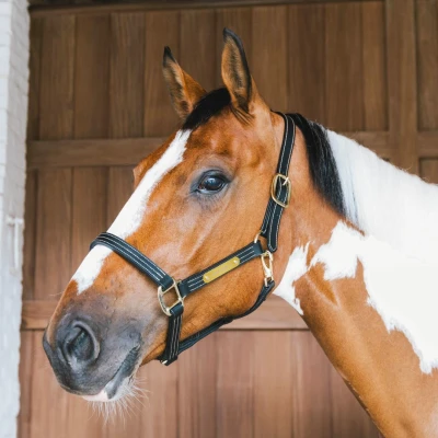 Abbildung von Kentucky Leather Halter Wellington