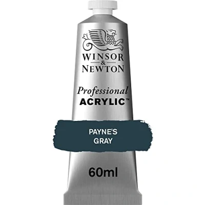 Abbildung von Winsor &amp; Newton 2320465 Professional Acrylfarbe in Künstlerqualität, hohe Farbbrillanz Deckkraft, Archivqualität, 60ml Tube Payne&#039;s Grau