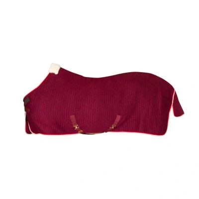 Abbildung von Kentucky Cooler Rug PROtherm