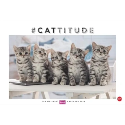 Abbildung von Whiskas Katzenkalender 2026: Foto Wandkalender mit süßen Katzen und lustigen Geschichten. 2026 in schönem Design. Bildkalender 2026. Querformat 45 x 30 cm.