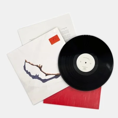 Abbildung von I Inside the Old Year Dying [Vinyl LP]