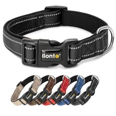 Abbildung von lionto Hundehalsband aus strapazierfähigem Nylon, Größe S, weiches gepolstertes Halsband für Hunde, 360 reflektierend &amp; Klickverschluss, Metallring Anpassung durch stufenlosen Schieber, schwarz