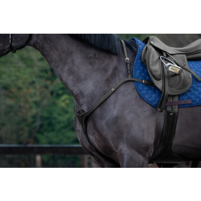 Abbildung von Dyon Breastplate long bridge