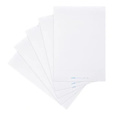 Abbildung von Landré Flipchart Papier, blanko, mit 20 Blatt je Block, 6 fach Lochung, 5 Stück