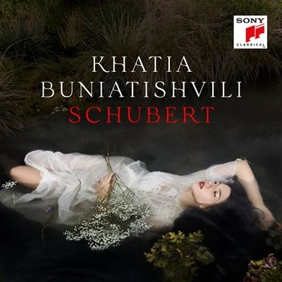 Abbildung von Sony Schubert