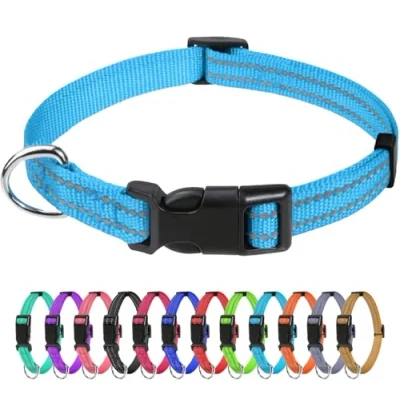 Abbildung von TagME Nylon Hundehalsband, Verstellbares Reflektierendes Hundehalsband mit Sicherheitsschnalle für Welpen, Himmelblau, 1.0cm Breite