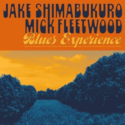 Abbildung von Blues Experience