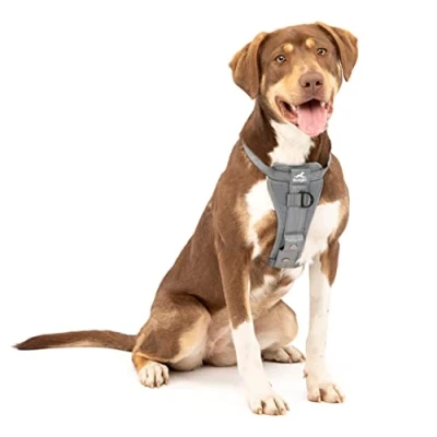 Abbildung von Kurgo TRU Fit Hundegeschirr, Crash Test erprobtes Auto Sicherheitsgurt, Für Hunde von 2 bis 5 kg, Größe M, Grau