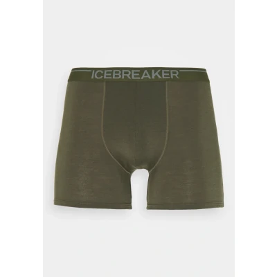 Abbildung von Icebreaker Anatomica Panties, Herren, Größe: Large, Loden