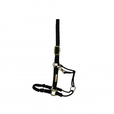 Abbildung von Kentucky control Halter