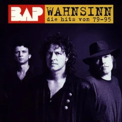 Abbildung von Wahnsinn die Hits Von &#039;79 &#039;95