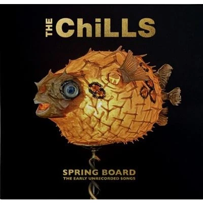 Abbildung von Spring Board: the Early Unrecorded Songs
