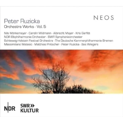Abbildung von Orchesterwerke Vol.5
