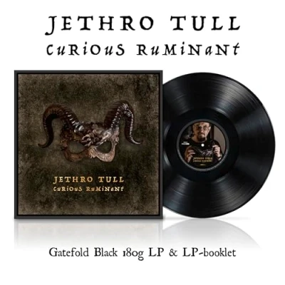 Abbildung von Curious Ruminant [Vinyl LP]