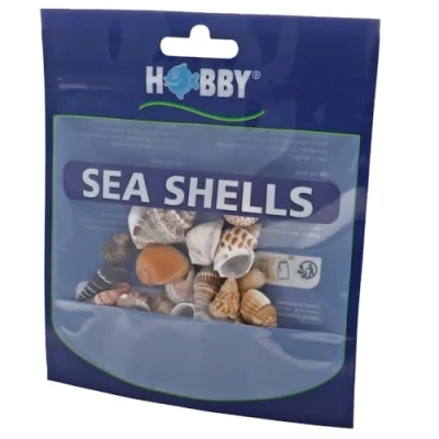 Abbildung von Hobby 40221 Sea Shells Set, S