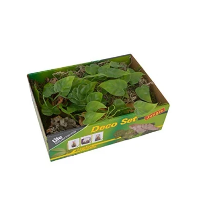 Abbildung von Life Experience Deco Set für kleine Nano Terrarien