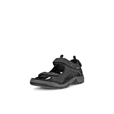 Abbildung von ECCO Herren Offroad Sandalen, Schwarz, 48 EU