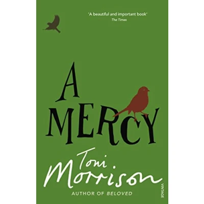 Abbildung von A Mercy