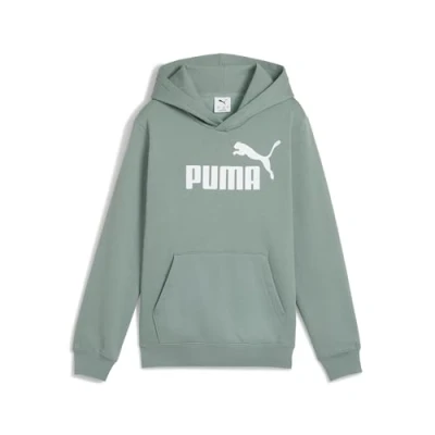 Abbildung von PUMA Jungen ESS No. 1 Logo Hoodie FL B Kapuzenpullis, Green Moon, 140