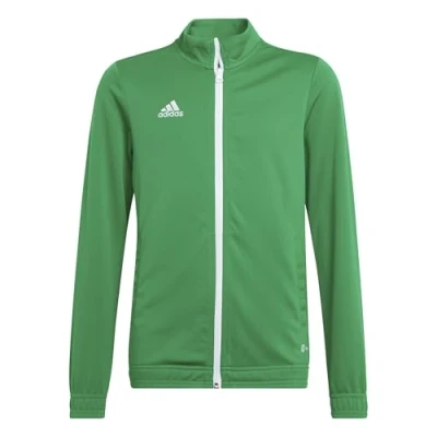 Abbildung von adidas Unisex Kids ENT22 TK JKTY Jacket, Team Green/White, 910A