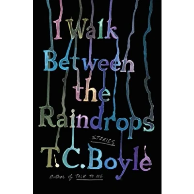 Abbildung von I Walk Between the Raindrops: Stories