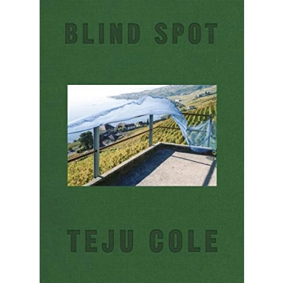 Abbildung von Blind Spot: Foreword by Siri Hustvedt