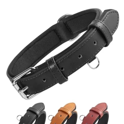 Abbildung von Grand Line Leder Hundehalsband, Lederhalsband Hund mit Weichem Gepolstertes, Breiter und Dicker Verstellbares Halsband Hunde für Kleine, Mittlere, Große (Schwarz, M)