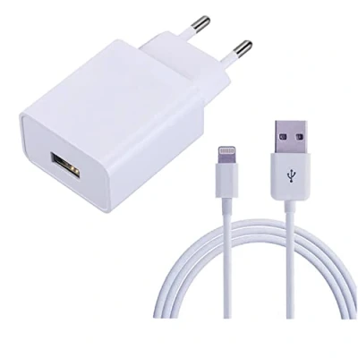Abbildung von ZLONXUN Ladegerät 12W USB Netzteil und Ladekabel Kompatibel mit iPad air 3/2/1, Mini 5/4/3/2, Pro (9,7&quot;/10,5&quot;), 12,9&quot; (1.Gen/2.Gen)