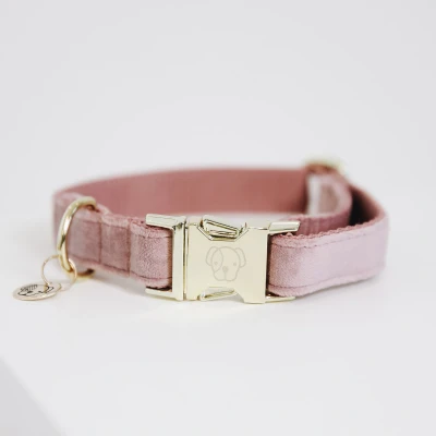 Abbildung von Kentucky Dog Collar Velvet