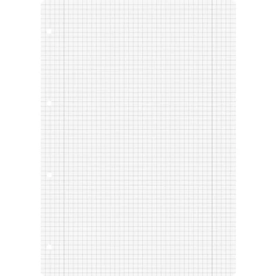 Abbildung von Brunnen 1066948 Ringbucheinlagen A4 (kariert mit Randlinien, Lineatur 28, 100 Blatt, 70 g/m²), weiß