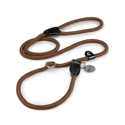 Abbildung von lionto Retrieverleine robust und wetterfest für Hunde Aller Größen, schnell anzulegende Hundeleine Halsband in Einem, 120 cm, fellschonende Führleine mit integriertem Zugstopp, vegan, braun