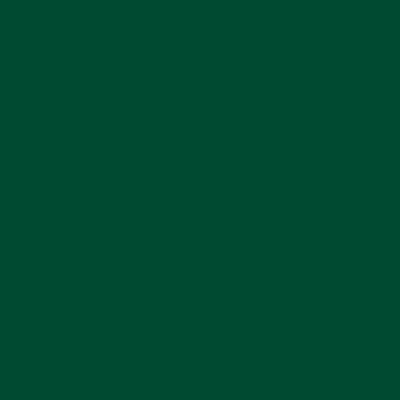 Abbildung von plottiX Perm. Vinylfolie 31,5cm x 1m Dunkelgrün