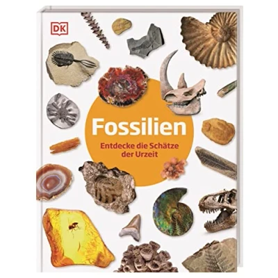 Abbildung von Fossilien: Entdecke die Schätze der Urzeit. Fossilien Lexikon. Für Kinder ab 6 Jahren (Steckbriefe)