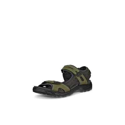 Abbildung von ECCO Offroad Trekkingsandale, Herren, Größe: 41, Acorn/peat Schuhe