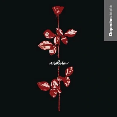 Abbildung von Violator [Vinyl LP]