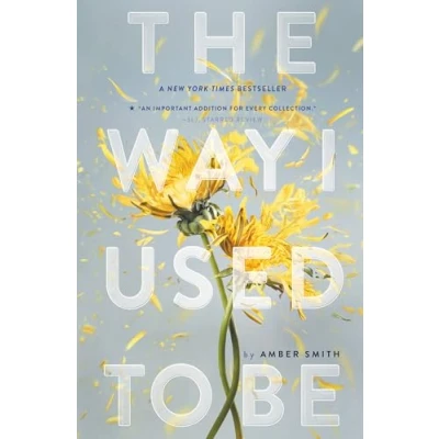 Abbildung von The Way I Used to Be