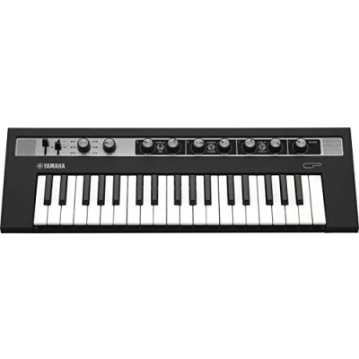 Abbildung von YAMAHA REFACECP
