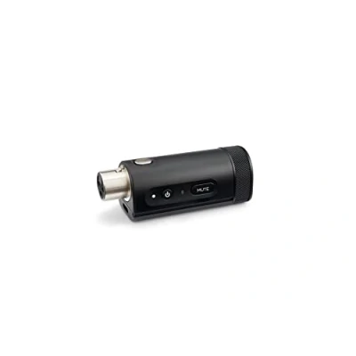Abbildung von Bose XLR Mic/Line Drahtlossender für S1 Pro+ PA System
